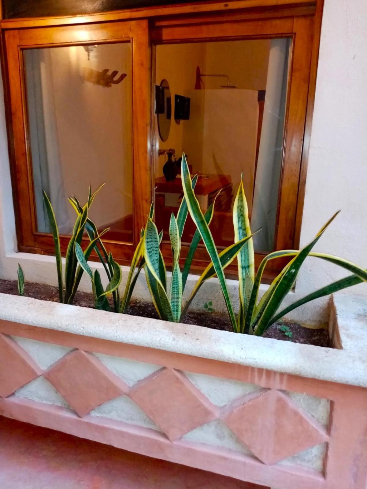 Hotel Boutique Refugio 41 Βαγιαδολίδ Εξωτερικό φωτογραφία